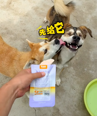 苦根儿 — 年度最佳搭档
